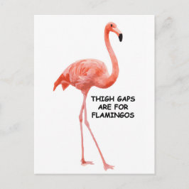 Schattige Zomer Inspirerend Roze Flamingo Briefkaart