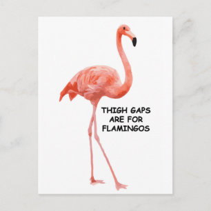 Schattige Zomer Inspirerend Roze Flamingo Briefkaart