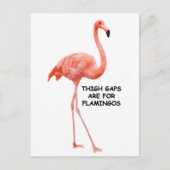 Schattige Zomer Inspirerend Roze Flamingo Briefkaart (Voorkant)