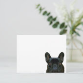 Schattige zwart frans buldog franse foto: briefkaart (Staand voorkant)