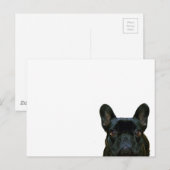 Schattige zwart frans buldog franse foto: briefkaart (Voorkant / Achterkant)