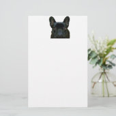 Schattige zwart frans buldog franse foto: briefpapier (Staand voorkant)