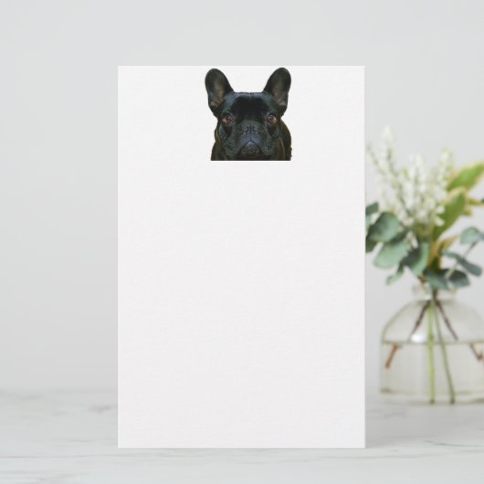 Schattige zwart frans buldog franse foto: briefpapier (Staand voorkant)