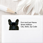 Schattige zwart frans buldog franse foto: etiket (Insitu)