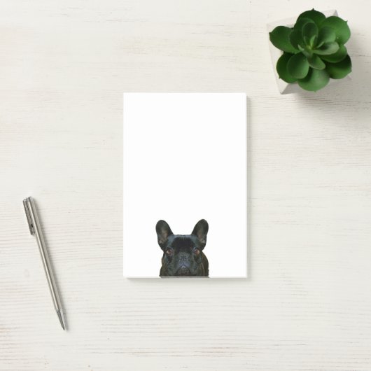 Schattige zwart frans buldog franse foto: post-it® notes (Kantoor)