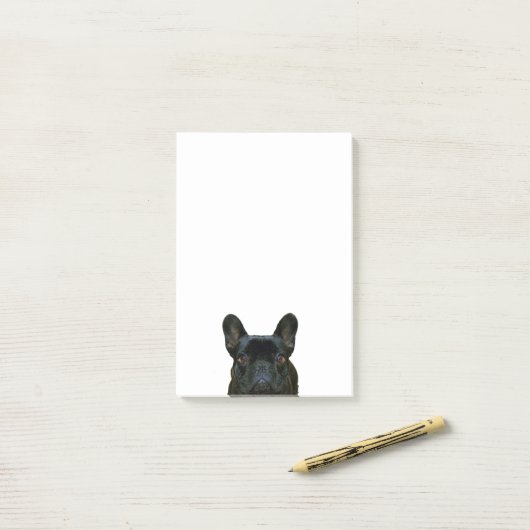 Schattige zwart frans buldog franse foto: post-it® notes (Op bureau)