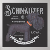 Schattige Zwart Schnauzer Poster (Voorkant)