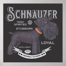 Schattige Zwart Schnauzer