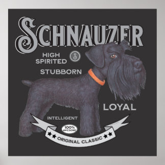 Schattige Zwart Schnauzer Poster