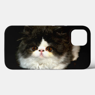 Schattige zwart wit kitten foto Case-Mate iPhone case
