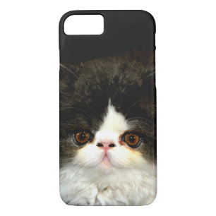 Schattige zwart wit kitten foto Case-Mate iPhone case