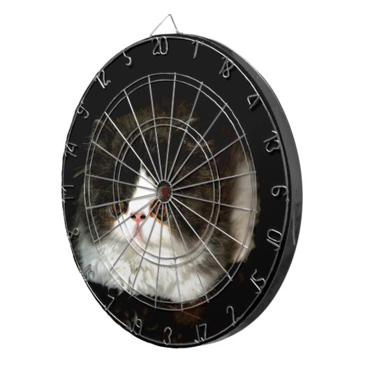 Schattige zwart wit kitten kat ragdoll foto dartbord (Voorkant Rechts)