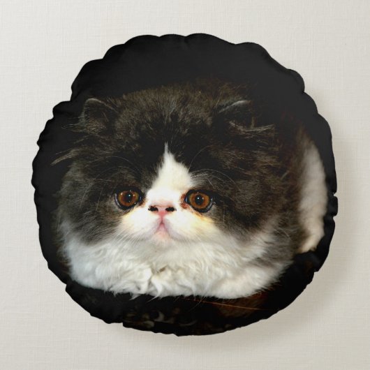 Schattige zwart wit kitten kat ragdoll foto rond kussen (Voorkant)