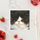 Schattige zwart wit kitten kat ragdoll foto servet (Insitu)