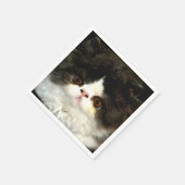 Schattige zwart wit kitten kat ragdoll foto servet (Hoek)