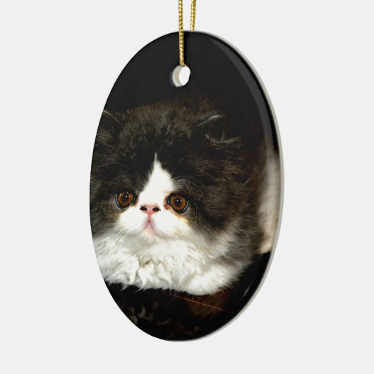 Schattige zwart wit kitten keramisch ornament (Links)