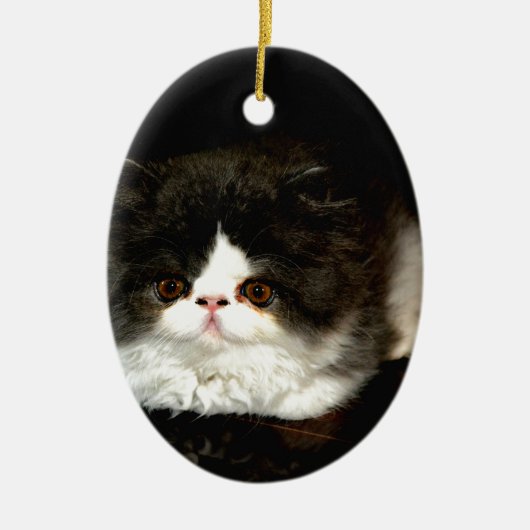 Schattige zwart wit kitten keramisch ornament (Voorkant)