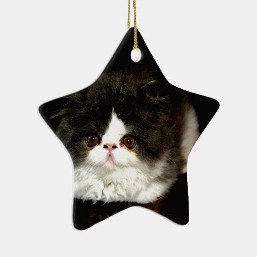 Schattige zwart wit kitten keramisch ornament (Rechts)