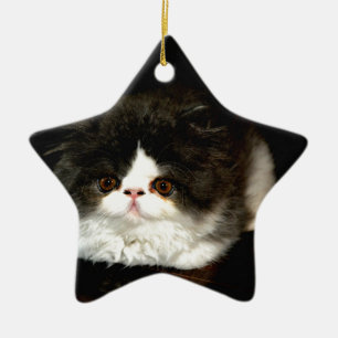 Schattige zwart wit kitten keramisch ornament