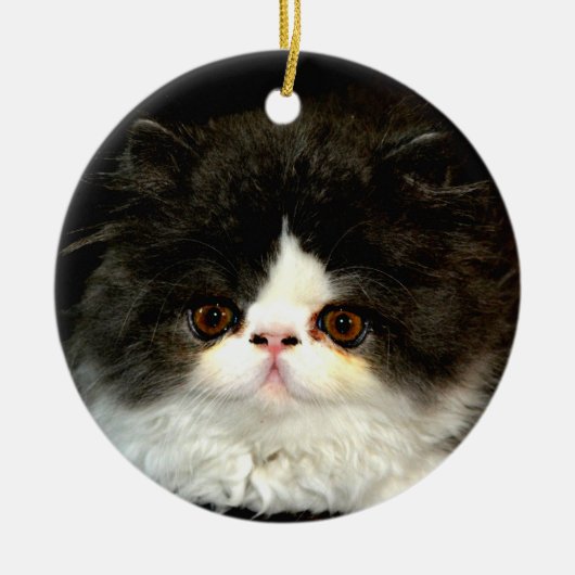Schattige zwart wit kitten keramisch ornament (Voorkant)