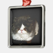 Schattige zwart wit kitten metalen ornament (Links)