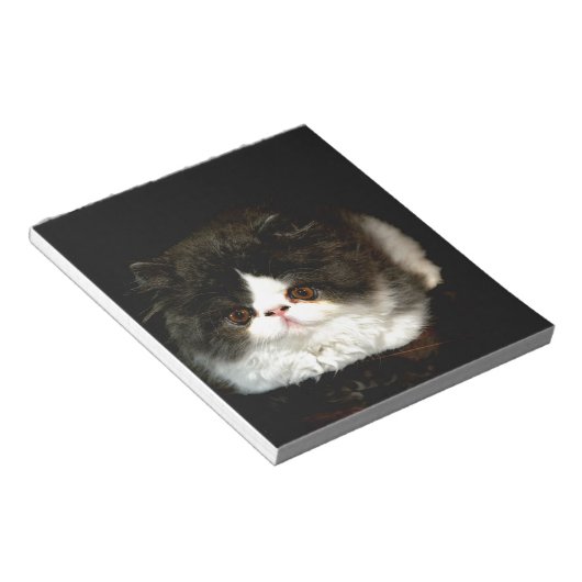 Schattige zwart wit kitten notitieblok (Schuin)