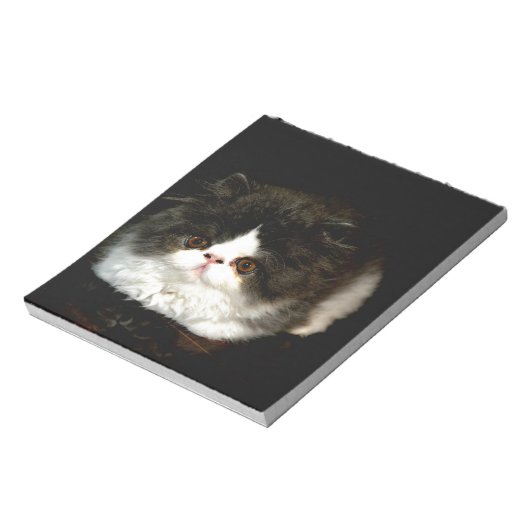 Schattige zwart wit kitten notitieblok (Linkerzijde)