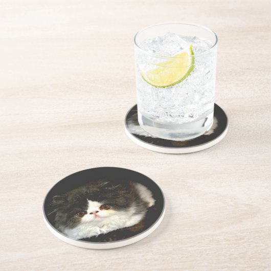 Schattige zwart wit kitten zandsteen onderzetter (Zijkant)