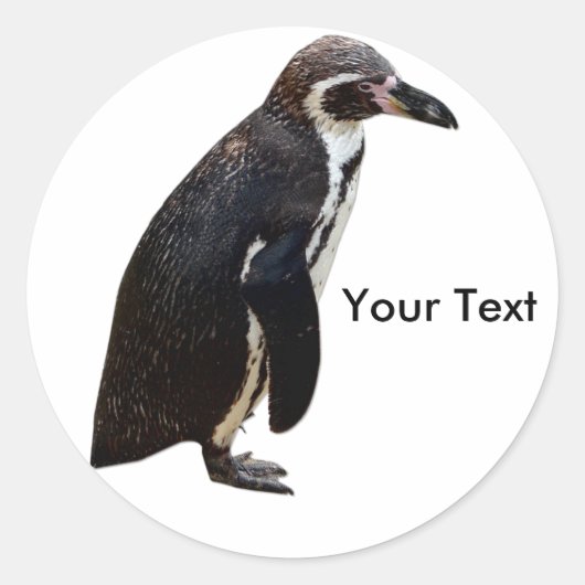 Schattige Zwart-wit Penguin Sticker Naam Tag (Voorkant)
