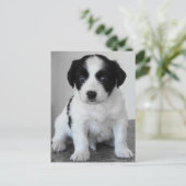 Schattige zwart-witpagina briefkaart (Staand voorkant)