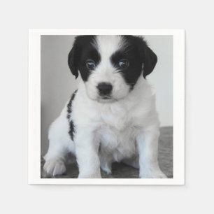 Schattige zwart-witpagina servetten