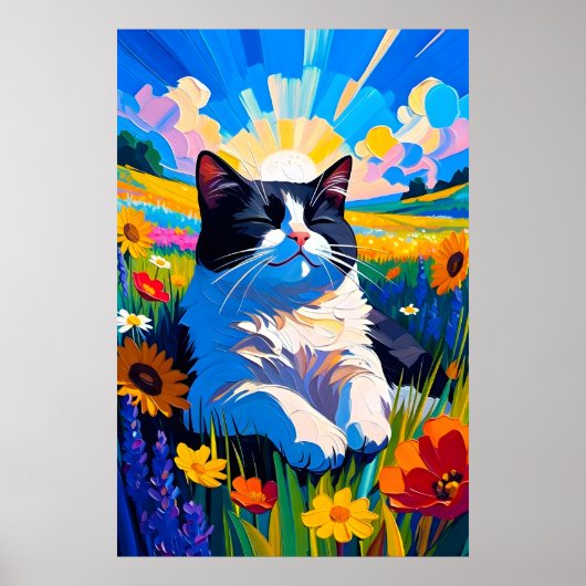Schattige zwart-witte kat rustend in zonnige weide poster (Voorkant)