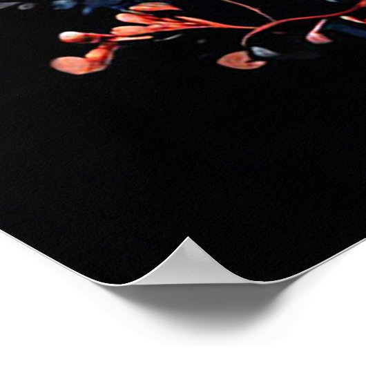 Schattige zwart-witte Pommerse Puppies Poster (Hoek)