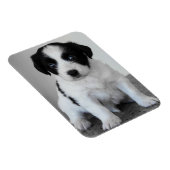 Schattige zwart-witte puppy magneet (Rechterzijde)