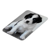 Schattige zwart-witte puppy magneet (Linkerzijde)