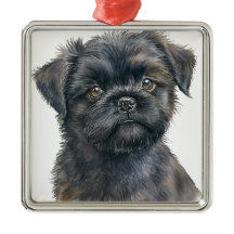 SCHATTIGE ZWARTE AFFENPINSCHER HONDENPUPPY