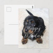 Schattige zwarte Dachshund Puppy Hond Verjaardag Briefkaart (Voorkant / Achterkant)