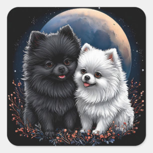 Schattige zwarte en witte Pomeranian puppy's Vierkante Sticker