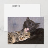 Schattige zwarte grijze tablet ontbreekt u briefkaart (Voorkant / Achterkant)