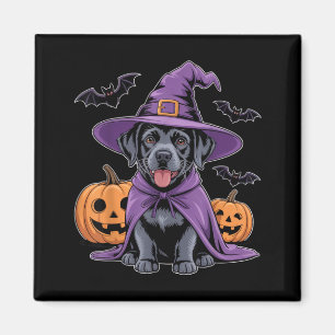 Schattige Zwarte Hond Heks Halloween Pompoenen En Magneet