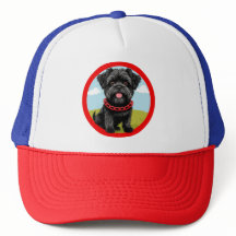 Schattige zwarte hond met rode halsband in cartoon