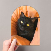 Schattige Zwarte Kat Acryl Uitnodigingen (Insitu (Draagbaar))