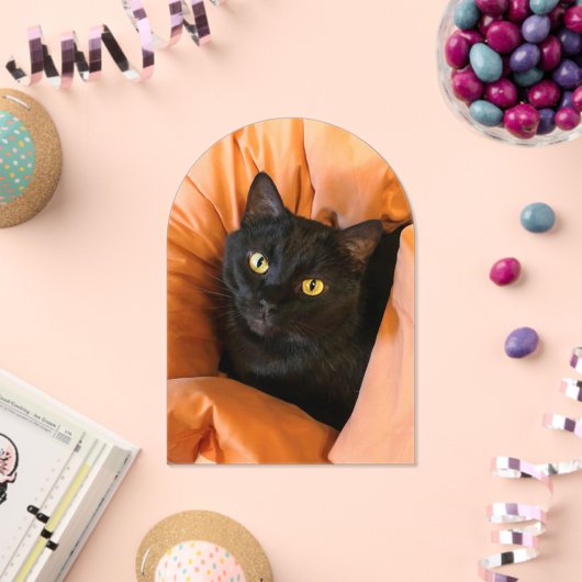 Schattige Zwarte Kat Acryl Uitnodigingen (Insitu (Viering))