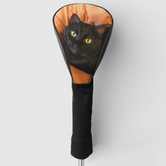 Schattige Zwarte Kat Golfheadcover (Voorkant)