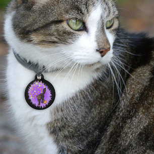 Schattige Zwarte Kat Halloween Sterren Geesten Pom Huisdierpenning