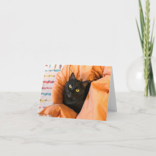 Schattige Zwarte Kat Kaart