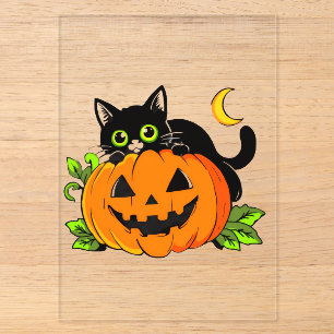 Schattige zwarte kat op Halloween Jack-O'-Lantern Acryl Uitnodigingen