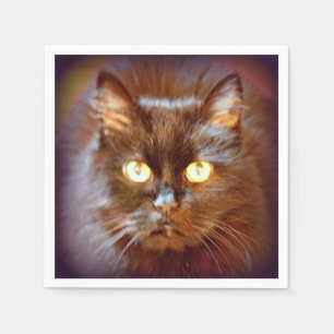 schattige zwarte kat servetten