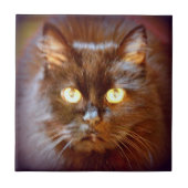 schattige zwarte kat tegeltje (Voorkant)