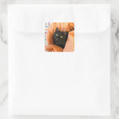 Schattige Zwarte Kat Vierkante Sticker (Tas)